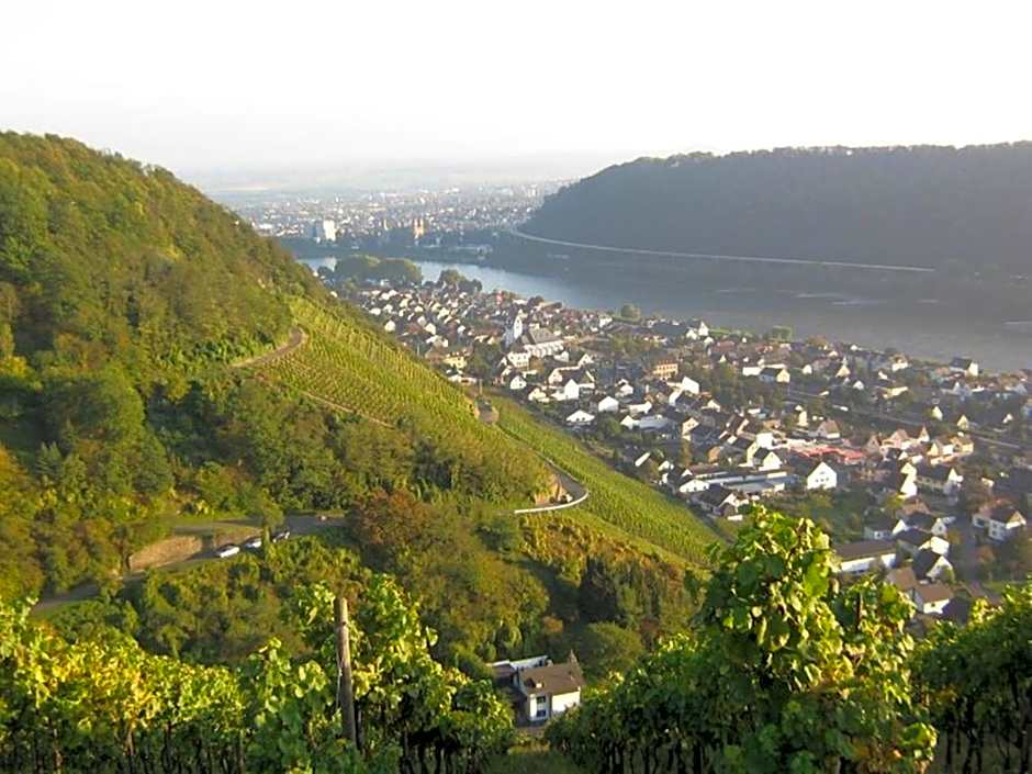 Hotel Am Martinsberg