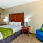 Comfort Inn Lenoir City-Knoxville