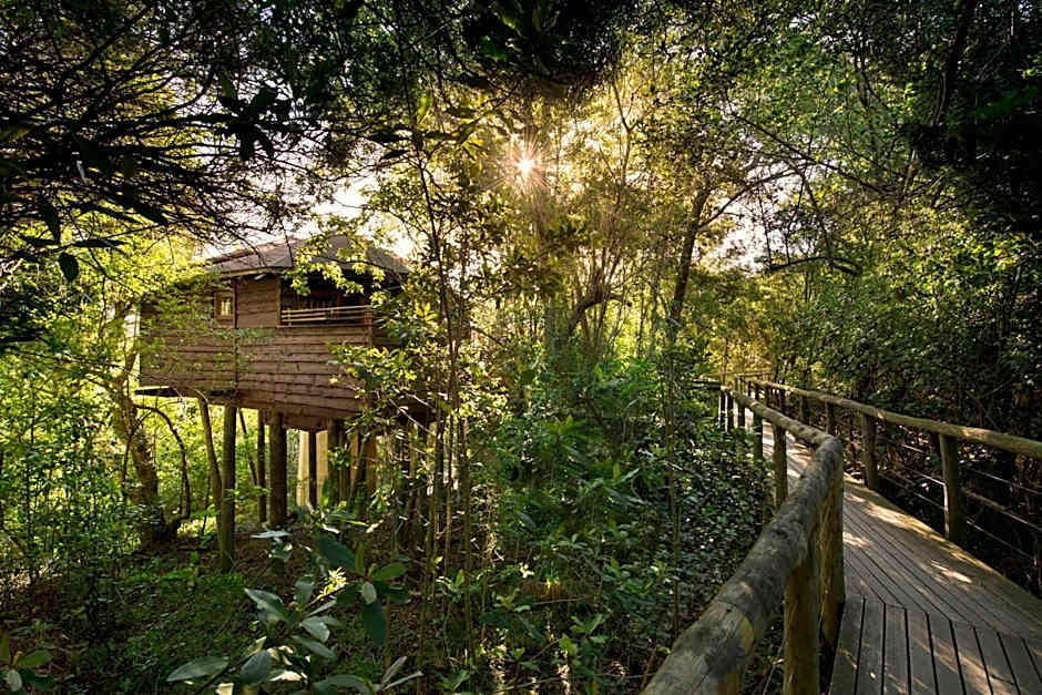 Tsala Treetop Lodge