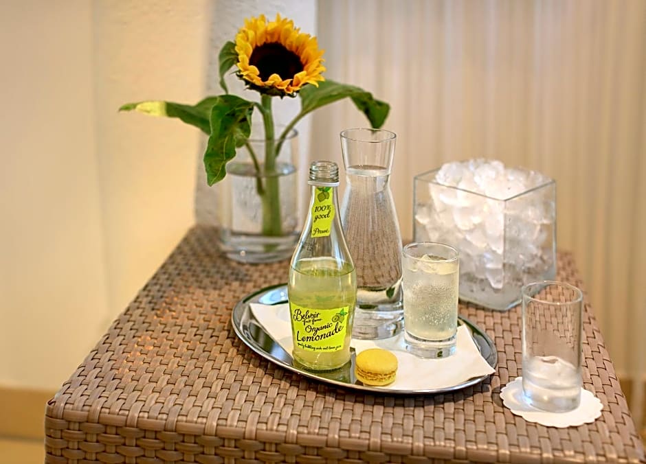 Hotel Schloss Weikersdorf