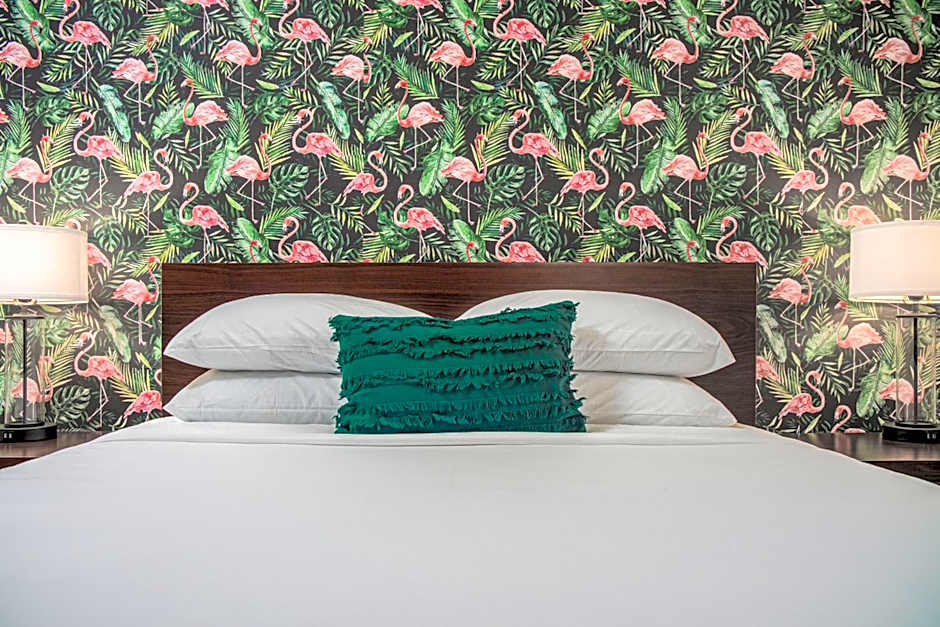 The Local - St. Augustine