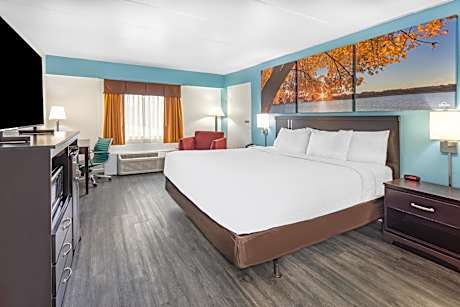 King Room - Pet Friendly/Non-Smoking