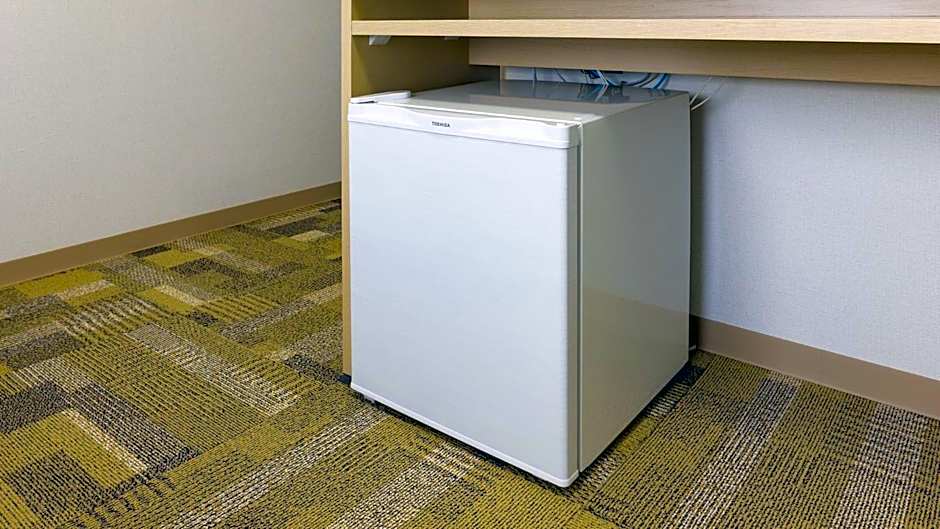 Toyoko Inn Shizuoka eki Kita guchi