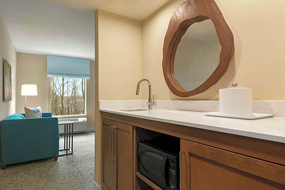 Hampton Inn And Suites By Hilton Johns Creek