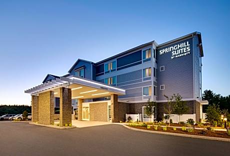 SpringHill Suites by Marriott Hampton Portsmouth