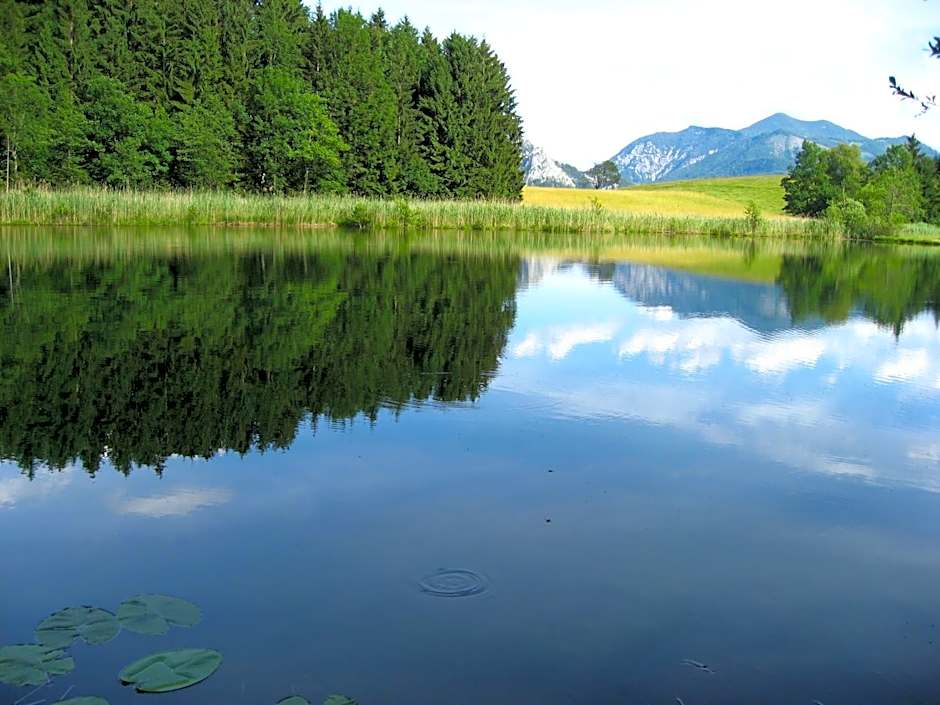 Landgasthof Spitzerwirt