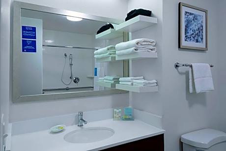 King Room with Roll-In Shower - Mobility and Hearing Access/Non-Smoking