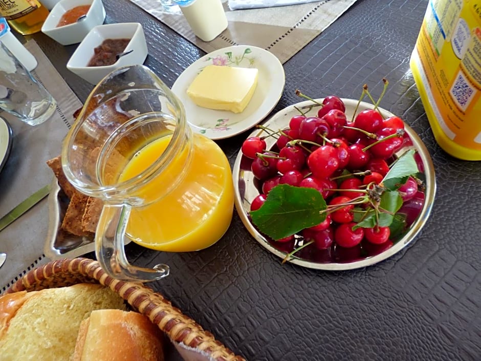 Chambres d'Hôtes Vignes et Loire