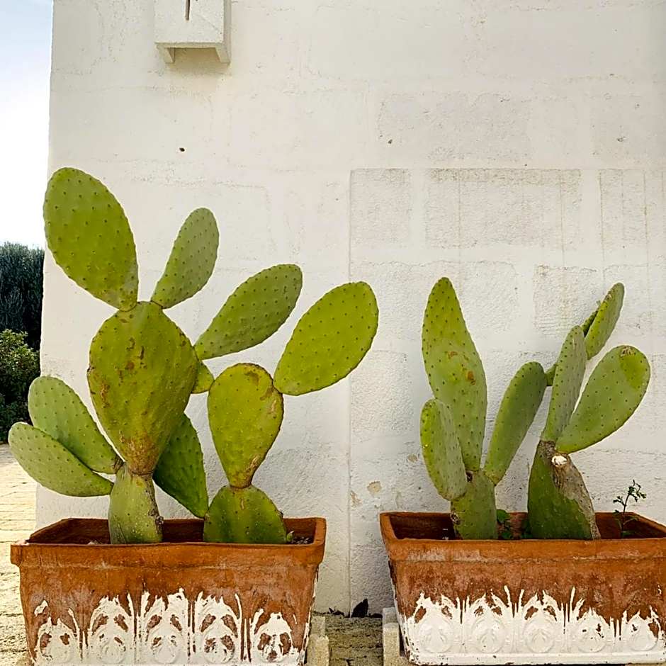 Masseria San Francesco