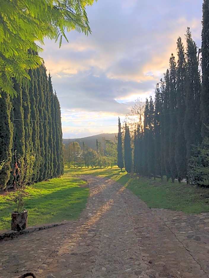 Hotel Boutique Calderon