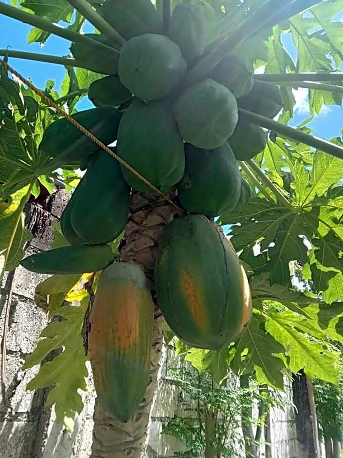 Balai Mariacaria Pension House