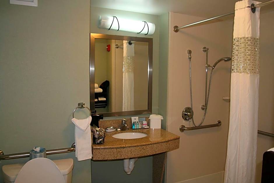 Hampton Inn By Hilton And Suites Detroit/Canton