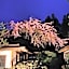 Koyasan Onsen Fukuchiin