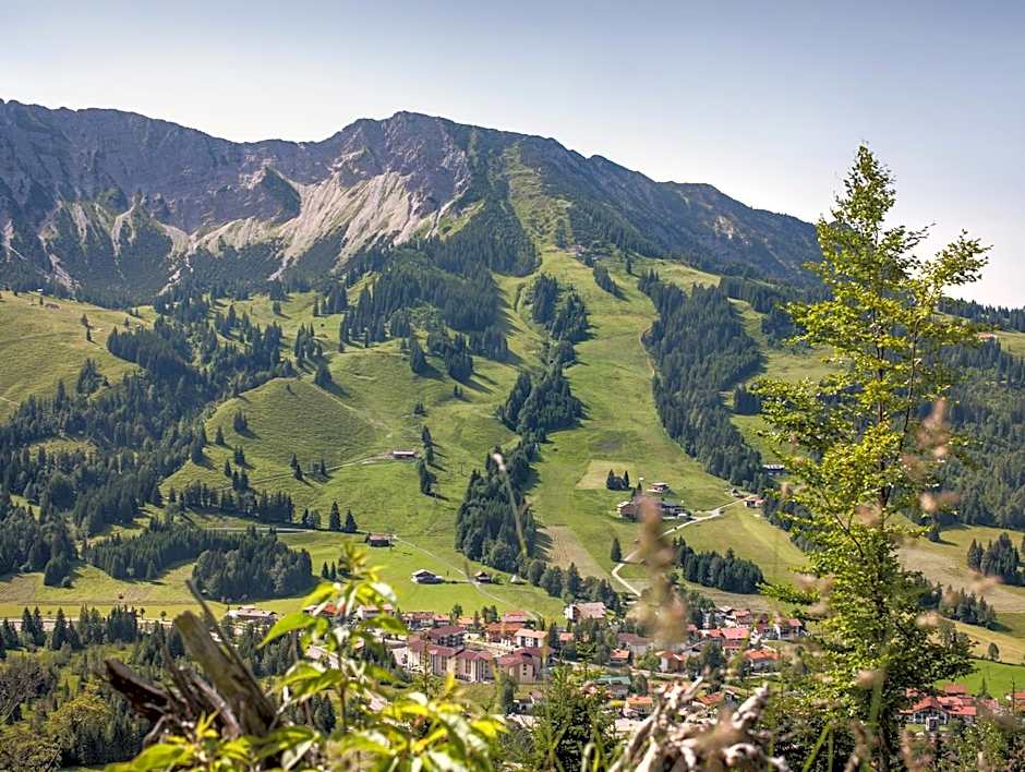 Alpin Chalets Oberjoch