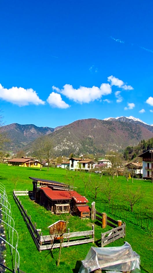 B&B dalla fattoria della Patty