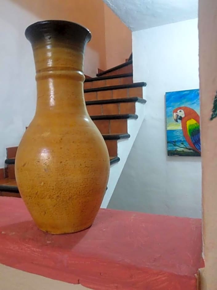 My Local Home Vallarta