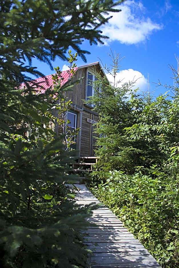 Auberge/Chalet Griffon Aventure