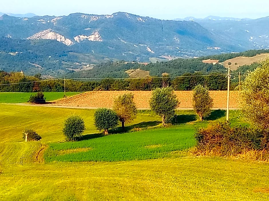 Bed and Breakfast Balli coi Lupi