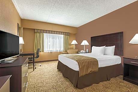 1 Queen Bed Mobility Accessible Non-Smoking