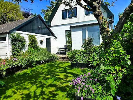 Studio with Garden View
