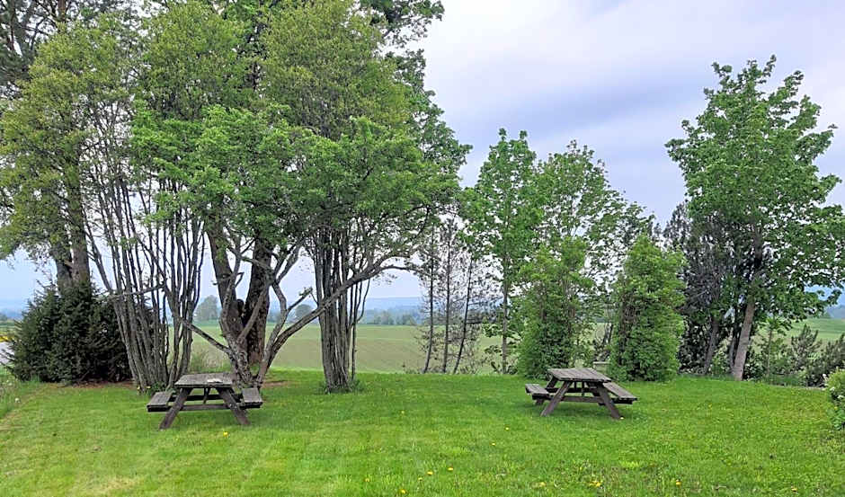Bedder At Oslo Airport
