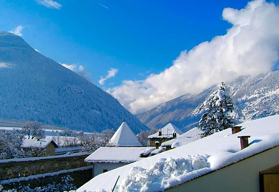 Hotel Gasthof Grüner Baum
