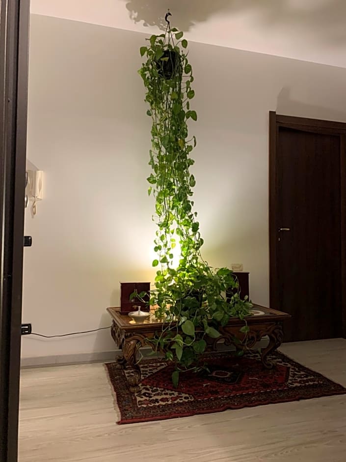 Residence San Pietro Book sharing