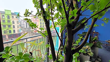 Viewest Glamping Venice 