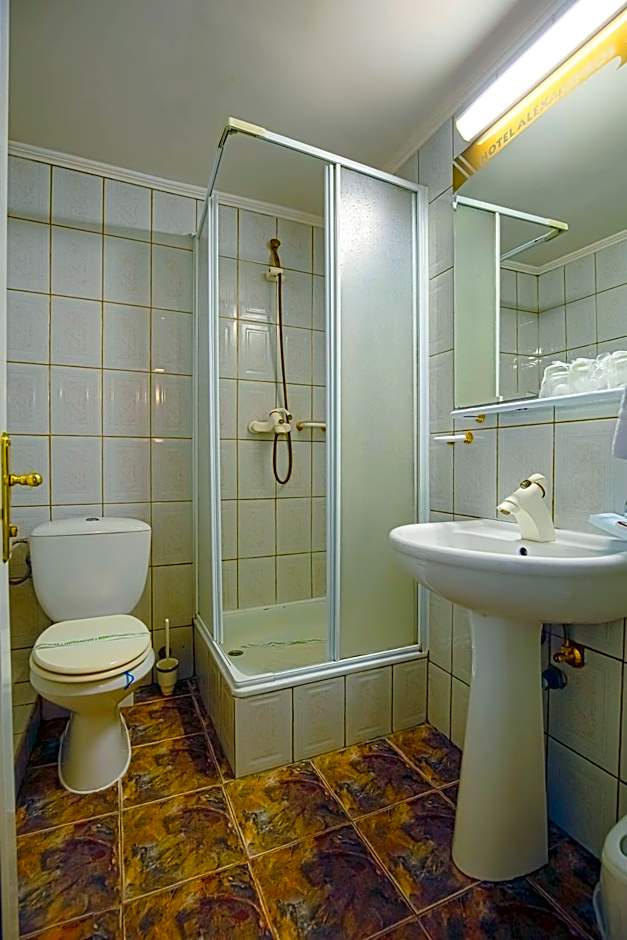 Hotel Alexandros Busteni