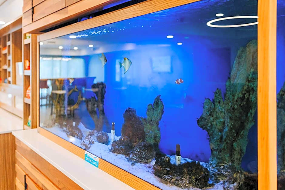 Hampton Inn By Hilton Rehoboth Beach