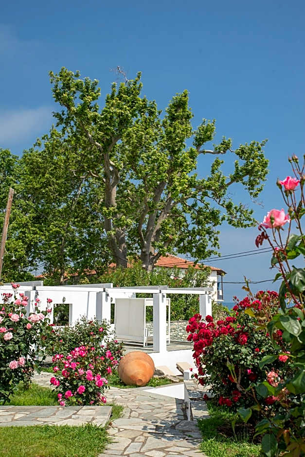 Aeolos Hotel & Villas - Pelion