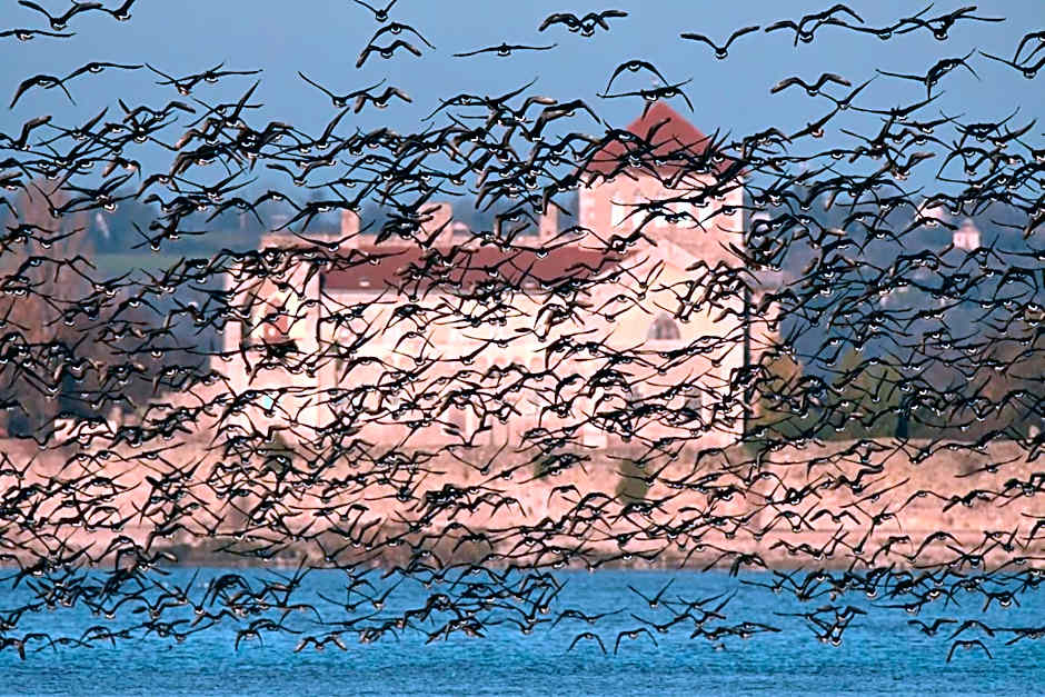 Kastélykert Vendégház Tata