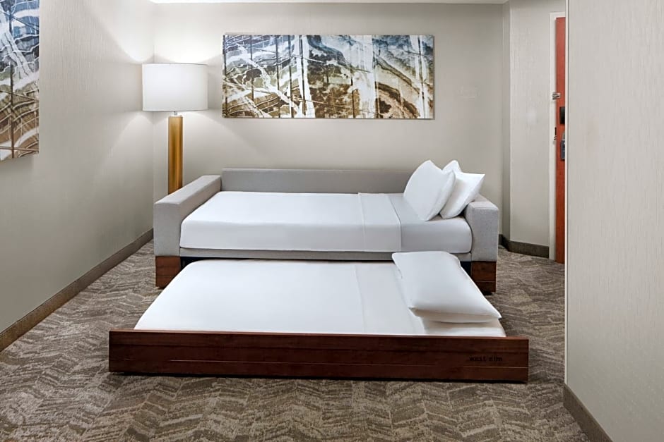 SpringHill Suites by Marriott Virginia Beach Oceanfront