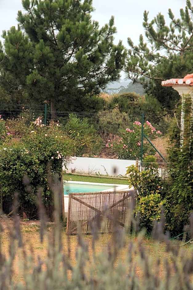 Quinta Amarela - B&B