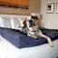 Iris Hotel Cape Cod