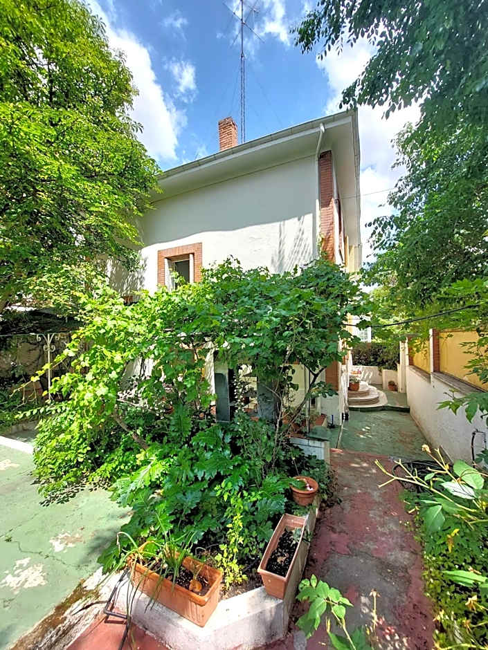 N1 Casa de Madrid - greenpeace line