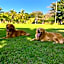 Puerto de Luna Pet Friendly and Family Suites
