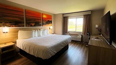 1 King Bed Non-Smoking