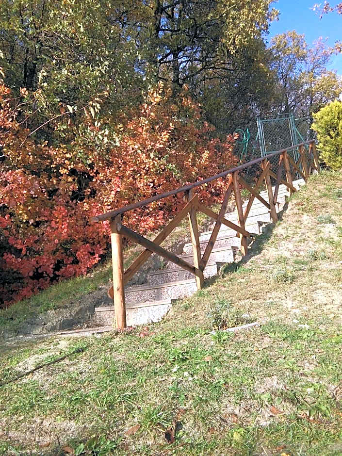 Calmancino delle Selve