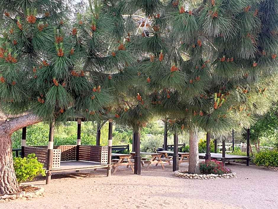 Complejo Rural Las Lomas de Biar