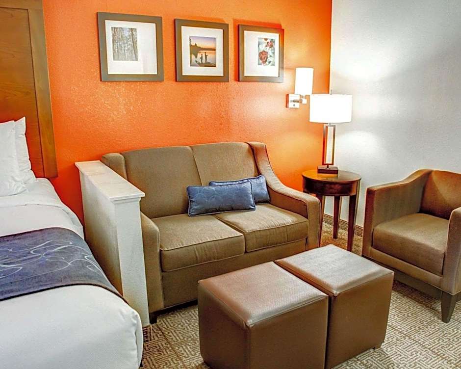 Comfort Suites Tyler South