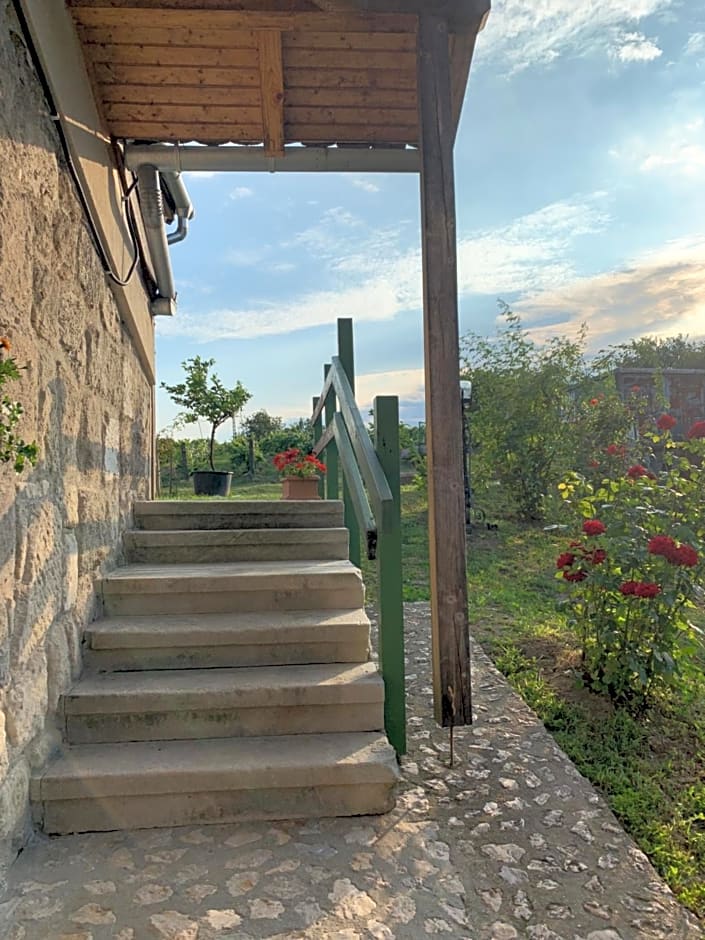 Buzál-Mórocza Pincészet és Szálláshely