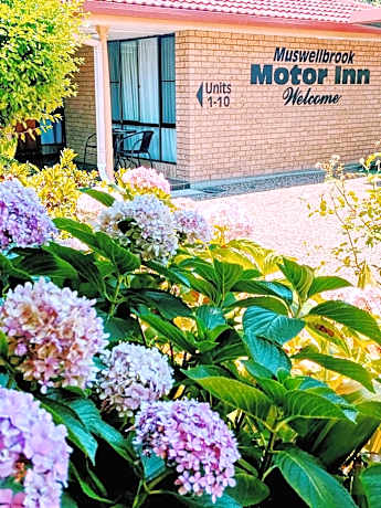 Muswellbrook Motor Inn