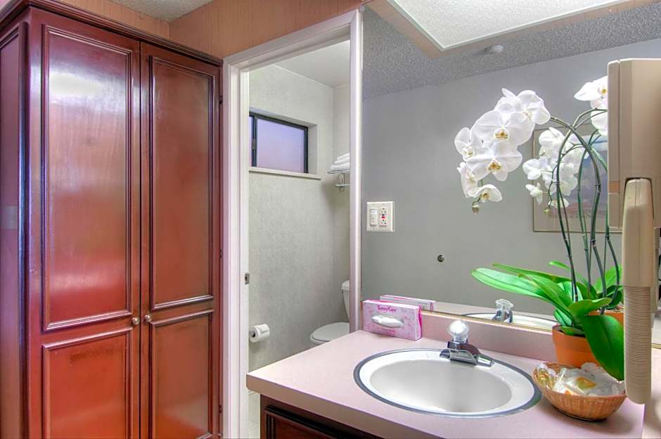 Days Inn by Wyndham Mountain View