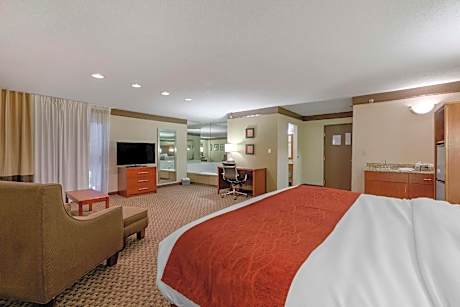 1 King Bed, Business Room, Suite, Nonsmoking