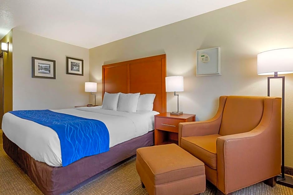 Comfort Inn South-Medford