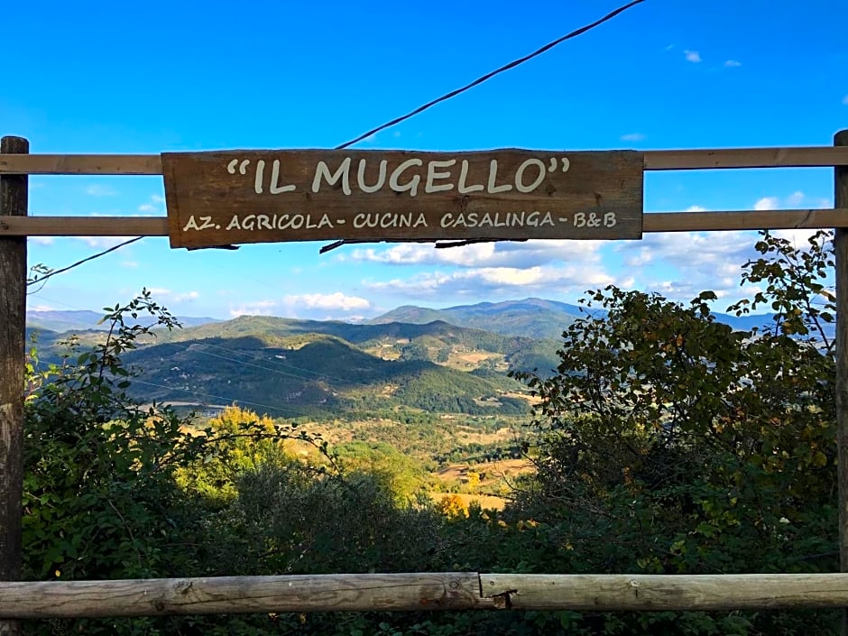 Il Mugello B&B