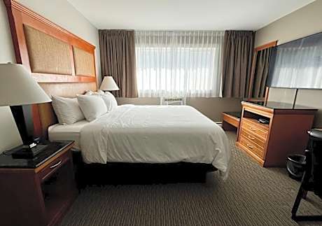 Kitchenette Suite - 1 King Bed