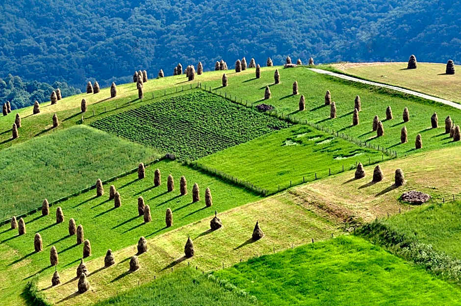 Hotel Perła Południa