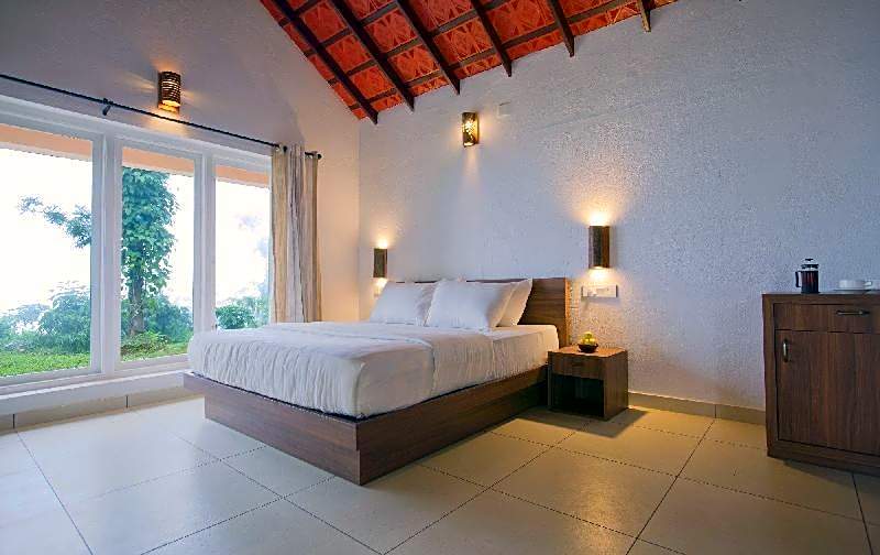 After the Rains - Rainforest Lodge